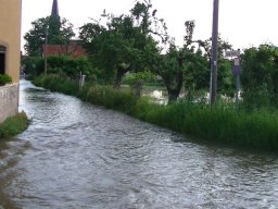 Kreinitz im Juni 2013